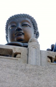 The largest seated Buddha in the world!