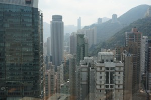 A "forest" of skyscrapers!