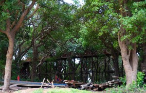 A walkway through the trees. This is the level the river reaches.