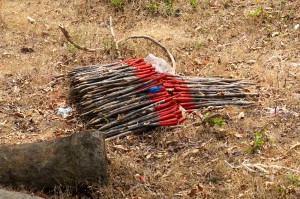 Approaching Beng Mealea -- these sticks are used to mark where the mines are.