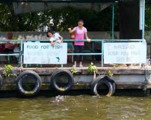 ... or a little fish feeding in the canals!