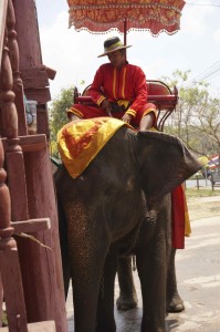 A mahout and his elephant.