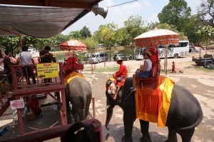 The elephant ride embarkation station. Please mind the gap!