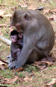 Mother and child