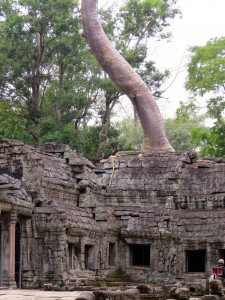 The entrance to Ta Prohm