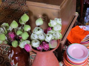 An offering of Lotus Blossoms for Buddha. 