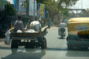 There were all forms of traffic to deal with in agra.