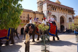 A popular way to get to the Amber Fort is via camel through the King's Gate. Look at the coloring on the elephant.