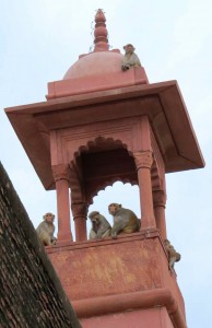 Guardians of the Taj