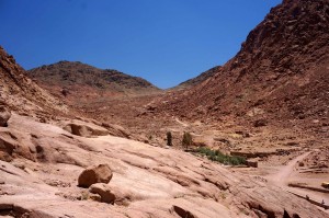 The path up to Mt. Sinai. You can still climb it, but we didn't have the time...