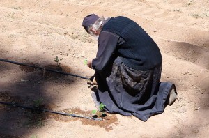 One of the resident monks. 