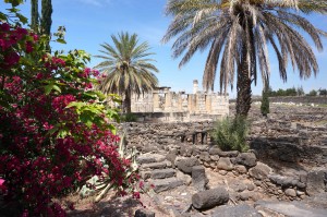 The ancient town of Capernaum, on the Sea of Galilee...