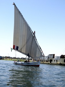 One of the many dhows on the Nile