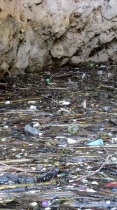 Unfortunately, there is a lot of garbage in the river too...