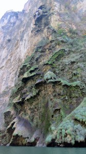 A really unusual feature on the cliffside. They call it the Christmas tree. You can probably figure out why! 