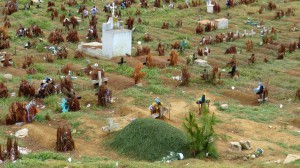 The graveyard in Chamula. Note all the pine needles.