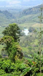 A view into the valley, downstream of Agua Azul. Oh, by the way, we encounter a mini roadblock here -- locals string a rope across the road to stop you and sell you stuff...