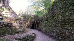 Then entrance to the maze