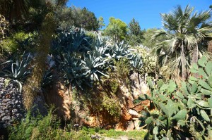 Very lush, yet arid here. Lots of agave and cactus,