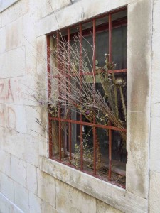 Lots of weeds and amulets hanging from the windows. More Wicker Man vibe!