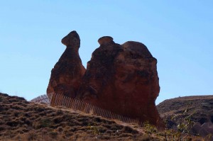 Camel rock -- one of the few formations you could really pick out!