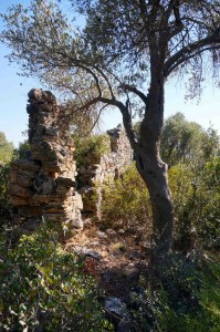 On our way back, we investigated some of the ruins.