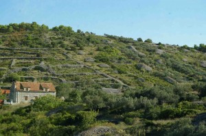 We took a tour of the island. One of the first things you notice are all the rock walls and piles of rocks. The former marked the areas where the vineyards were in the wine making heyday, and the latter were kept available to build more of the former!