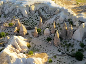 Agriculture between the formations.