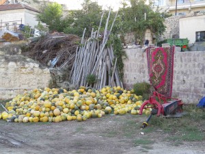 Some pumpkins along the road. It turns out that they just harvest these for the seeds and either feed the rest to the animals or let them dry and use them for fuel in the winter. BTW, in the Summer it can get up to 125 degrees here and in the Winter, down to - 45 degrees. Anyone looking for a second home?