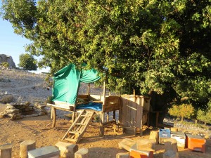 An impromptu tea house off the hiking trail. It probably does a pretty good business. By the time we hiked down, some hunters were already camped there for the night!