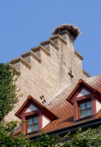 A stork nest on top of a house. Never saw any storks.