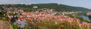 Panoramic view of the city and River Main from the castle.