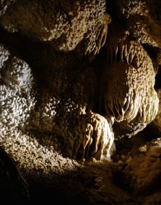 There are lots of different calcite crystals throughout the cave. While much of it is dry, you get to see some good examples of wet cave features.