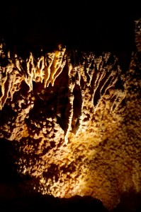 Clearly, the wet cave features aren't as dramatic of those at Carlsbad or Luray, but they are still very attractive. 