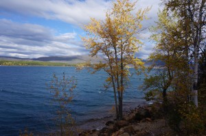 So let's go to another part of the park. It's a beautiful day at Lake MacDonald.