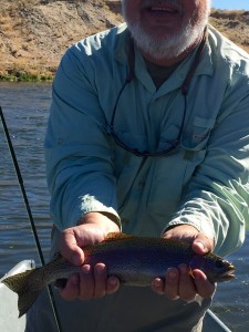 One of Glen's trout. Deb was showing her photography skills here, cutting off half of my head!