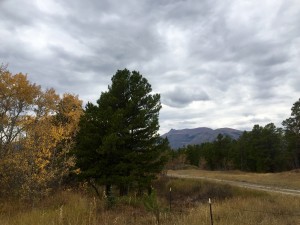 Driving into East Glacier. The skies are starting to look a little threatening. Should we try the Route to the Sun now or wait until morning? Nah, let's wait...