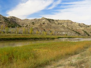 As we drove around, we saw lots of different landscapes, whether by the Little Missouri River...